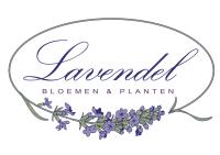 Lavendel Bloemen